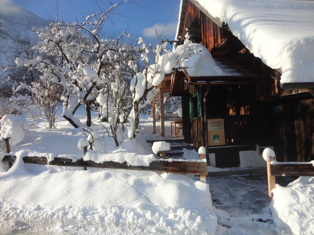 Chalet Ramsau 8 Bad Goisern Eksteriør billede