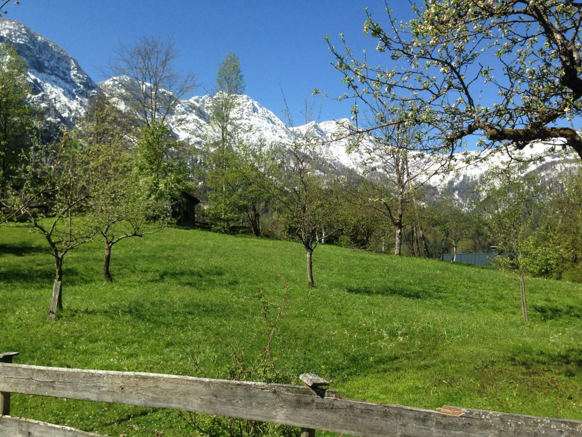 Chalet Ramsau 8 Bad Goisern Eksteriør billede
